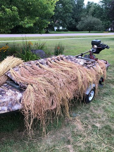 Customer photo review of Hunting Blind Raffia Grass (Pack)