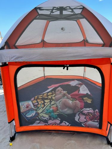 Customer photo review of Pop N' Go™ Playpen