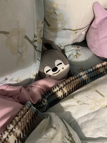 Customer photo review of Official Stray Kids SKZOO Plush (Original Ver)