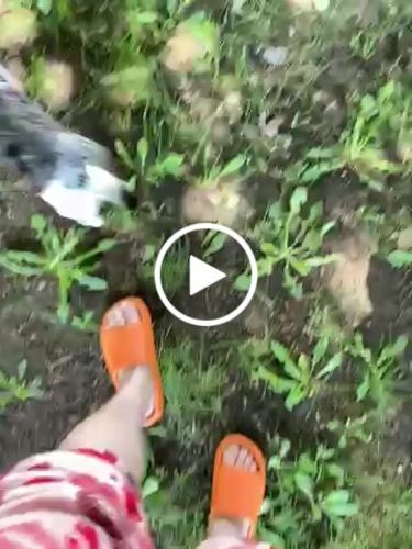 Customer video review of Pantoufle orthopédique