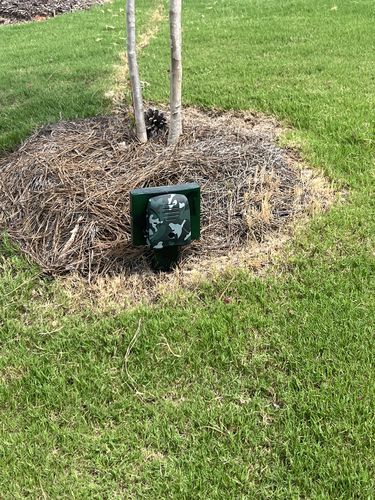 Customer photo review of Dog Silencer® MAX