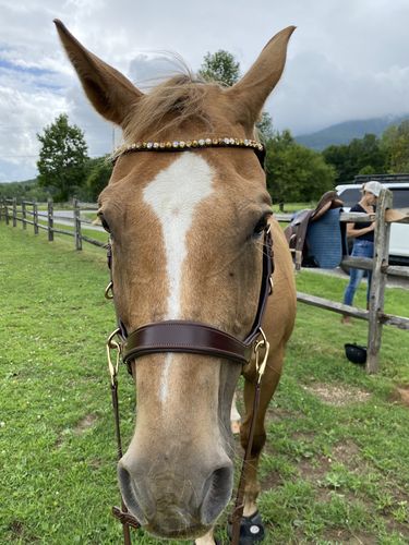 Customer photo review of Sparkling amber