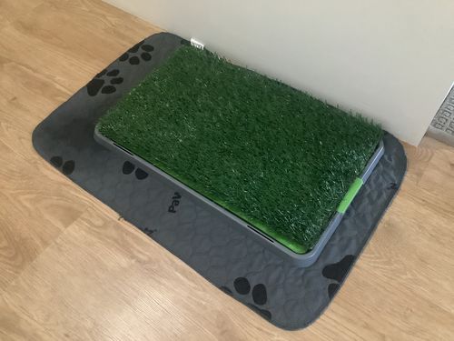 Customer photo review of PaWz Washable Resuable Dog Puppy Training Pad