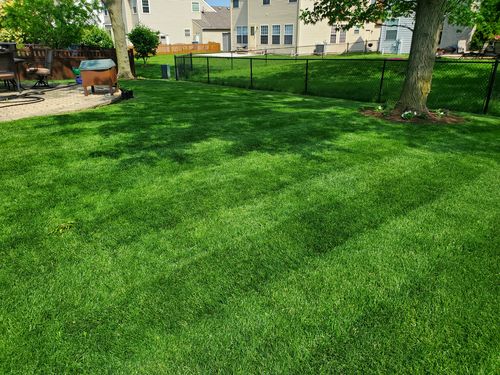 Customer photo review of Protene Performance Starter Fertilizer