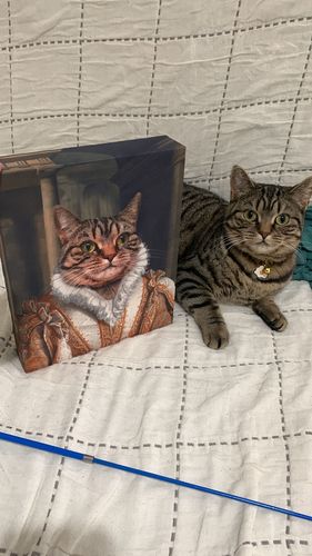 Customer photo review of The Princess – Custom Vintage Pet Canvas