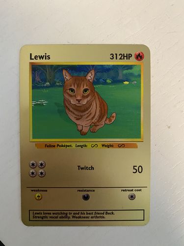 Customer photo review of Product options