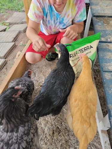 Customer photo review of GrubTerra Dried Larvae