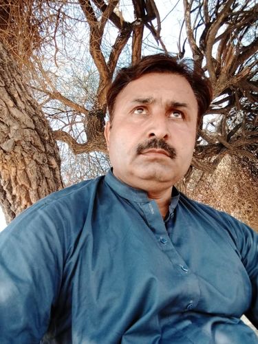 Customer photo review of 42206054-Printed Embroidered 3PC