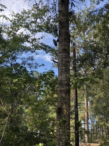 Customer photo review of Discreet Neighbor Pack – MAX