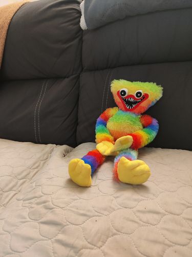 Customer photo review of Poppy Playtime Huggy Wuggy Rainbow