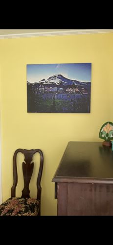 Customer photo review of The Shining Overlook Canvas Sets