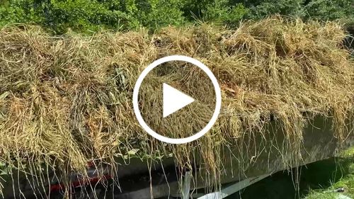 Customer video review of Hunting Blind Raffia Grass (Pack)