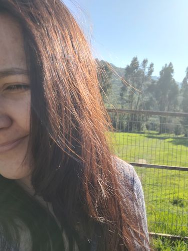 Reseña con foto de un cliente sobre Pack 3 Hennas Jamila Hair - Cobrizo Natural y Duradero 👩🏼🦰