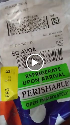 Customer video review of Infused Sea Moss Gel bundle