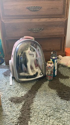 Customer photo review of CAT BUBBLE BACKPACK WITH CLEAR WINDOW FOR HIKING-【Front Expandable】