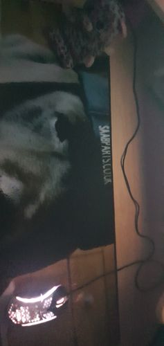 Customer photo review of Extended Medium Custom Mousepad