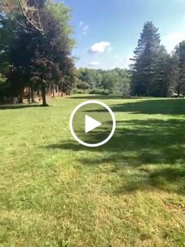 Customer video review of 240 Bulk Practice Golf Balls