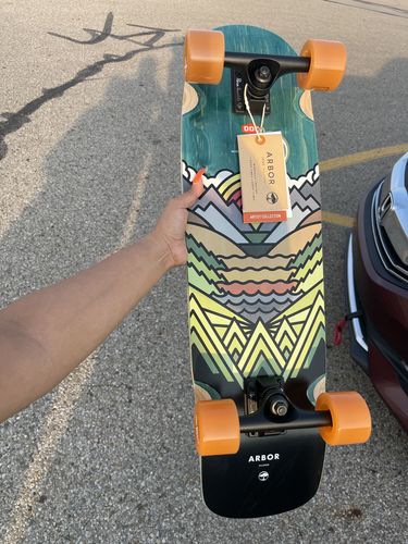 Customer photo review of Arbor Collective Pilsner Artist 21 Collection Complete Skateboard/Longboard