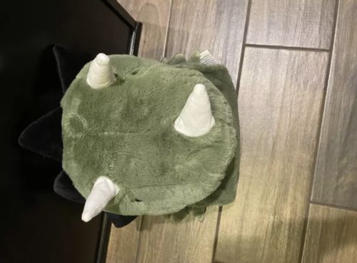 Customer photo review of The Dino Blanket