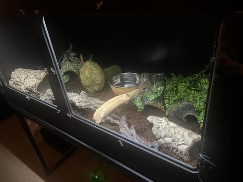 Customer photo review of XT4 (48Lx24Dx24H) - STACKABLE