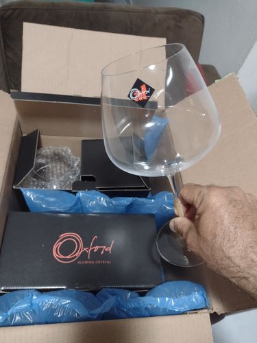 Customer photo review of Conjunto de 2 Taças de Cristal GrandVino Bourgogne 950ml