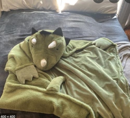 Customer photo review of The Dino Blanket