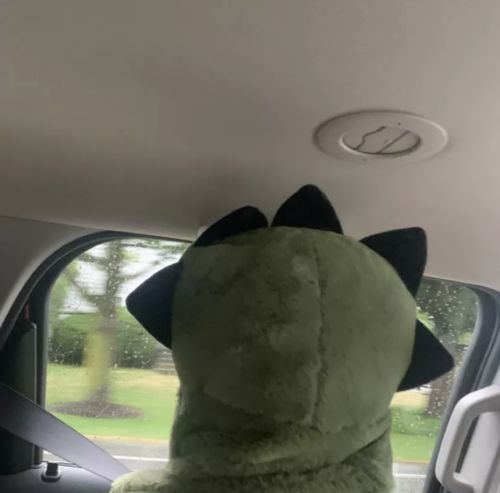 Customer photo review of The Dino Blanket