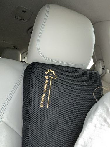 Customer photo review of Giraffe Cushion