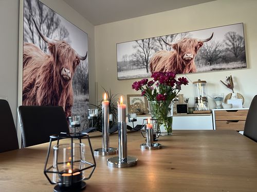 Customer photo review of Leuchtbild | Hochlandrind No.1 | Querformat