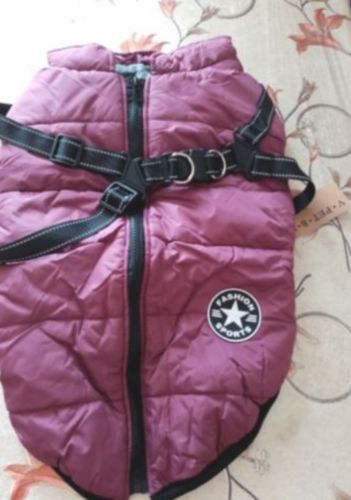 Customer photo review of Winterbody™ - Wetterbeständiger Hundemantel