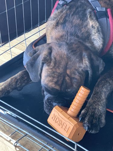 Customer photo review of The Fenrir Hammer