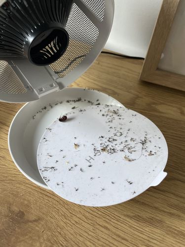 Customer photo review of Quash UV Indoor Bug Trap Snow