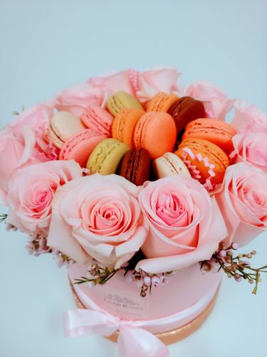 Customer photo review of Macaroon Pink Halo