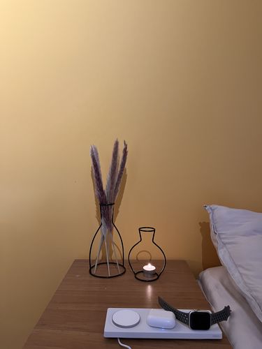 Dries V. review of NIEUW MINIMALISTISCHE VAAS image 1 out of 1