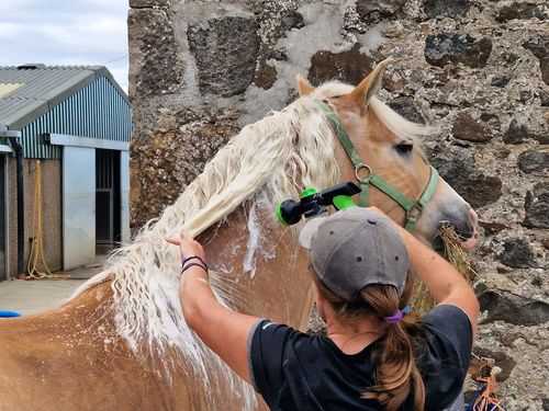 Customer photo review of The Pony Jet 2.0 ™