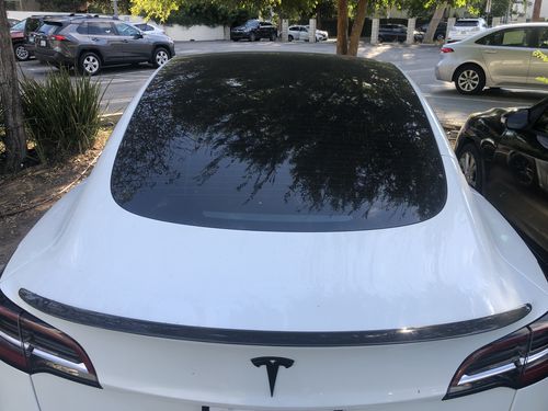 Customer photo review of Genuine Carbon Fiber Performance Spoiler for Tesla Model 3