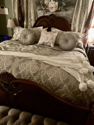 Customer photo review of Sovana Soft Sage 4-Piece Comforter Set by j queen