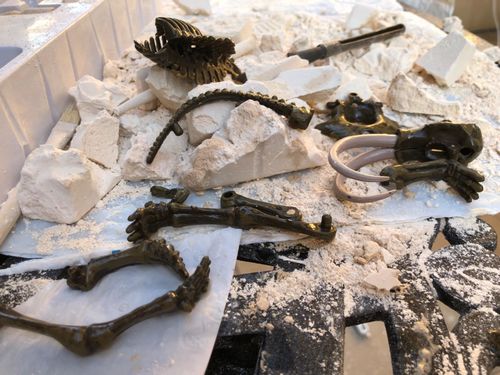 Customer photo review of Dinosaur Fossil Digging Kit