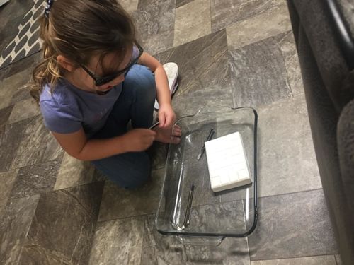 Customer photo review of Dinosaur Fossil Digging Kit