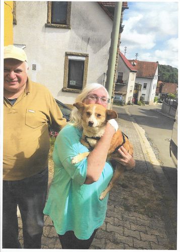 Kundenbewertung mit Foto zu BELISY > Gelenk Komplex < Gelenktabletten für Hunde & Katzen - 100 Tabletten