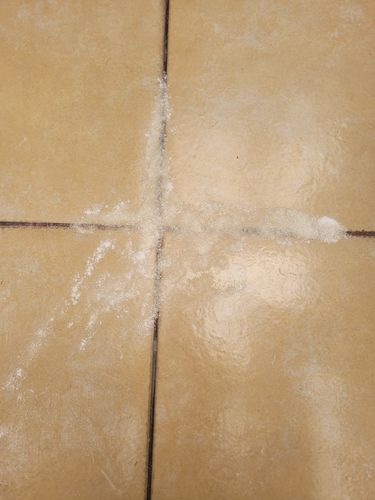 Customer photo review of Paquete Peludos - Membresía - 2 Piezas de 850 grs + Envío GRATIS