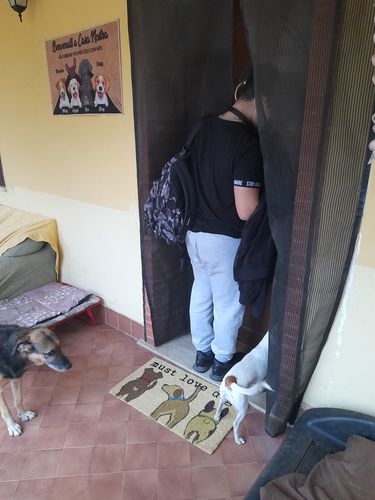 Customer photo review of Tappeto personalizzato con Cani & Gatti