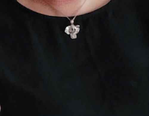 Customer photo review of Pendentif Éléphant Petit Coeur