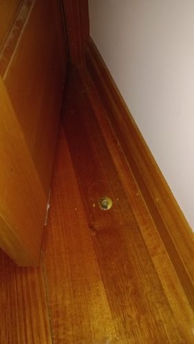Customer photo review of Fantom Doorstop
