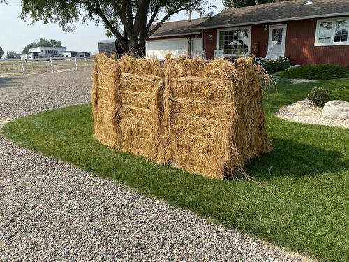 Customer photo review of Hunting Blind Raffia Grass (Individual)