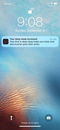 Customer photo review of PM Recovery Collagen - USA