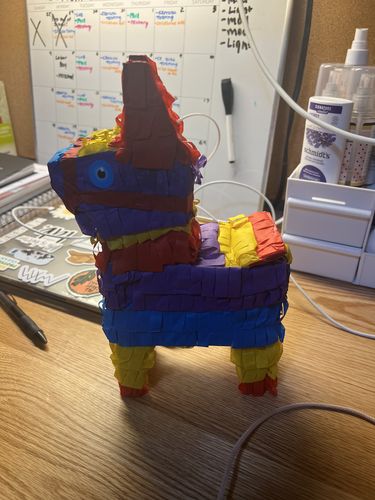 Customer photo review of Piñatagram™