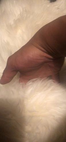 Customer photo review of Eco-Friendly Extra Large FAUX SheepSkin Area Rug
