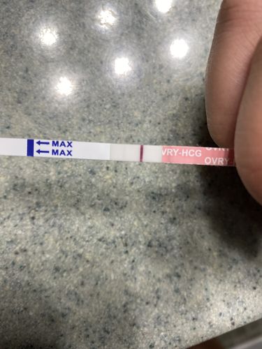 Customer photo review of Pregnancy Test Strips (Ultra-Sensitive)