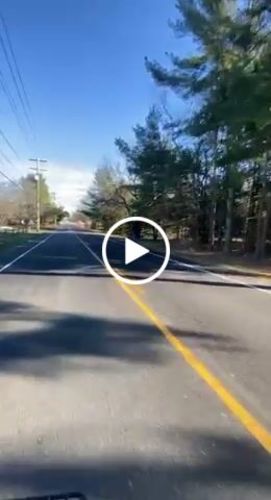 Customer video review of Sur-Ron Light Bee X Black Edition